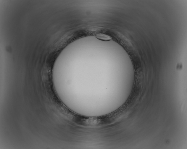 X0000090410225200708031049
