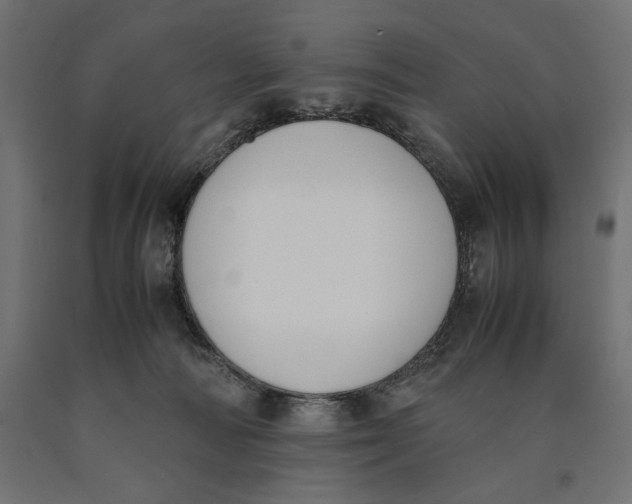 X0000090410226200708031049