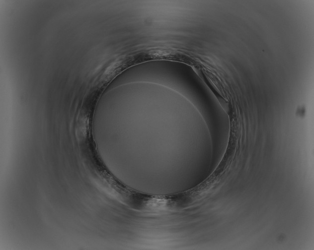 X0000090410227200708031049