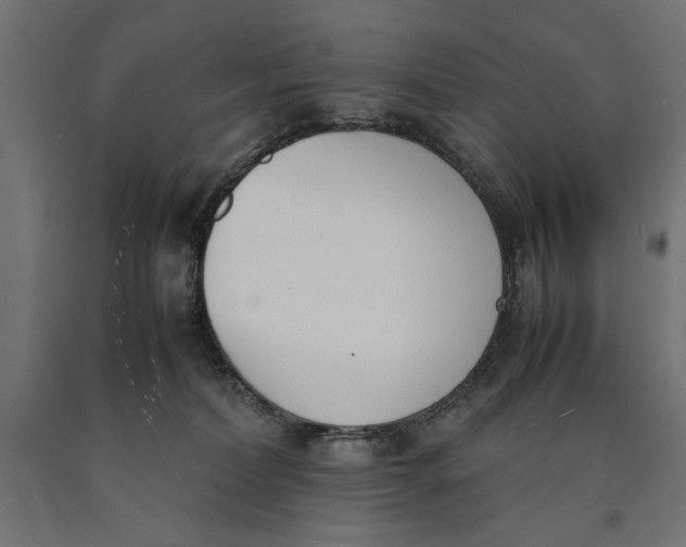 X0000090410228200708031049