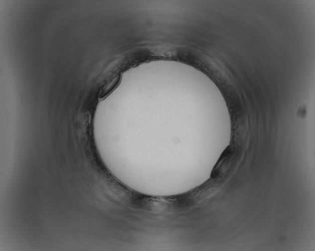 X0000090410229200708031049