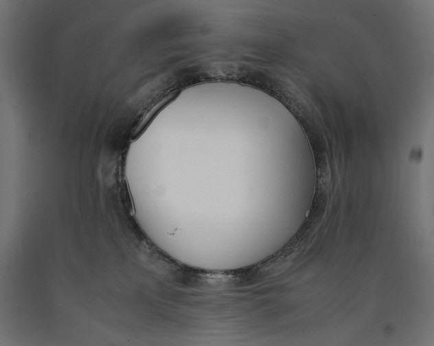 X0000090410233200708031049