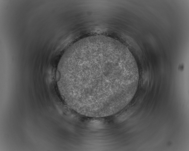 X0000090410236200708031049
