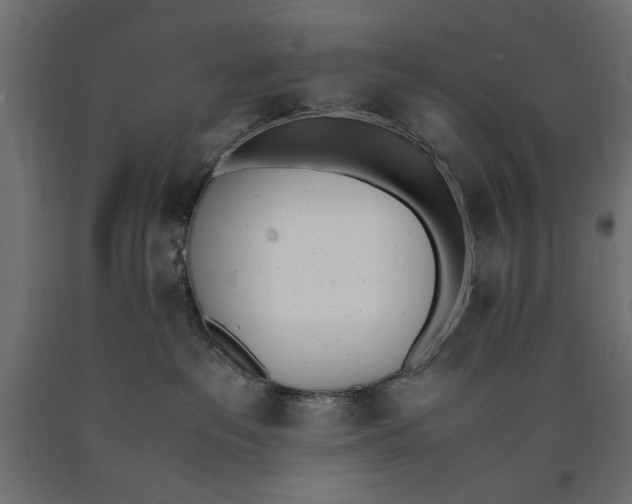 X0000090410237200708031049