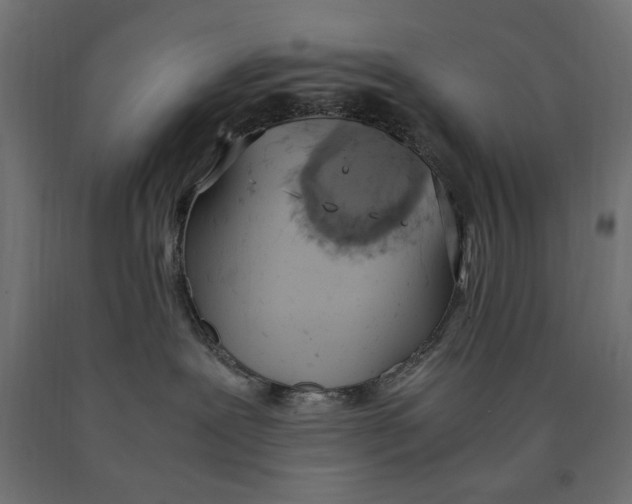 X0000090410239200708031049