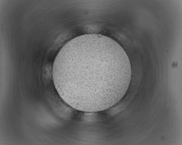 X0000090410240200708031049