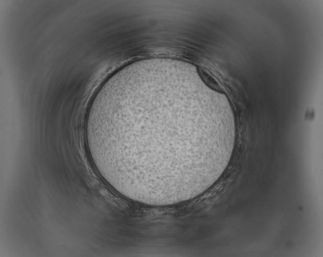 X0000090410241200708031049