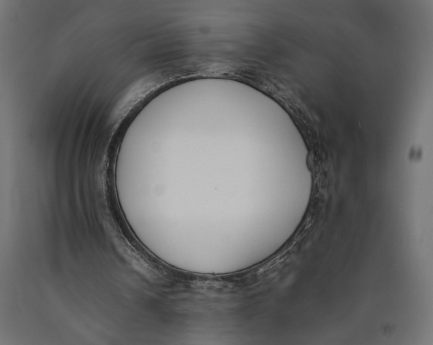 X0000090410242200708031049