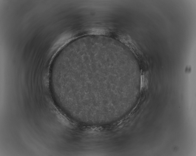 X0000090410243200708031049