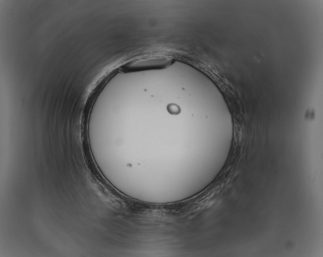 X0000090410244200708031049