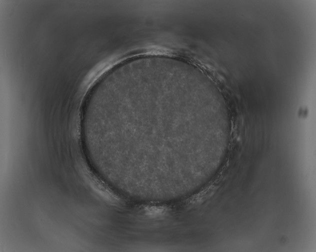 X0000090410247200708031049