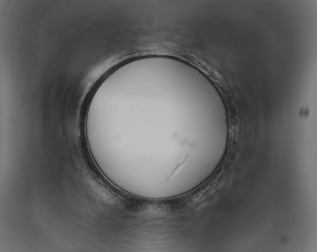 X0000090410248200708031049