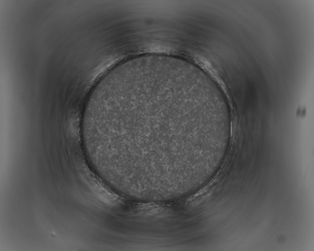 X0000090410249200708031049