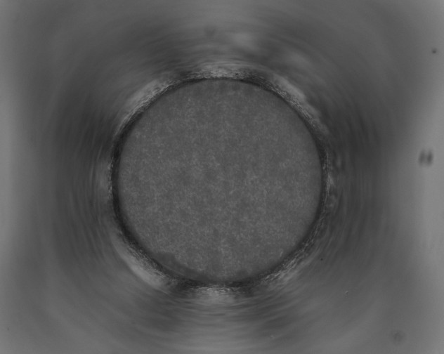 X0000090410250200708031049