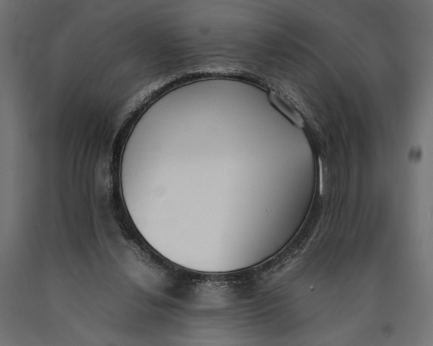 X0000090410252200708031049