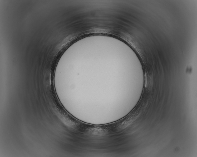 X0000090410253200708031049