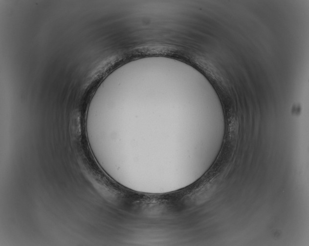 X0000090410254200708031049