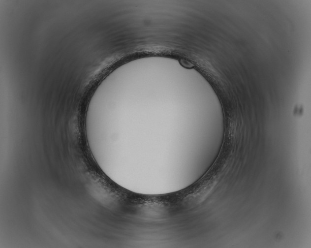 X0000090410256200708031049