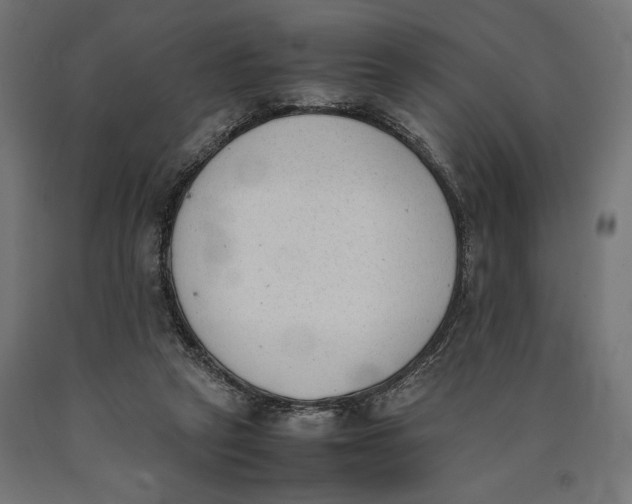 X0000090410257200708031049