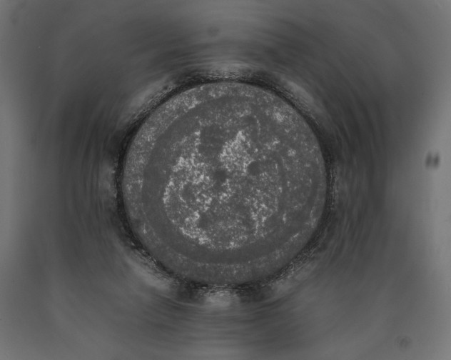 X0000090410258200708031049