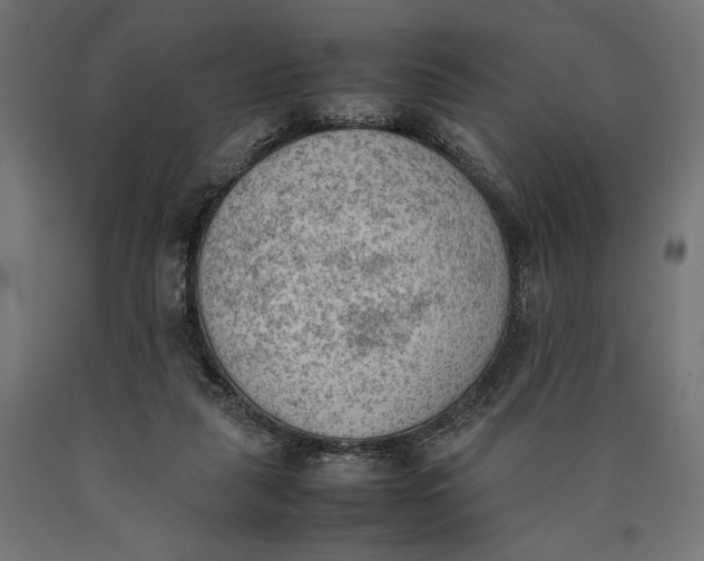 X0000090410259200708031049