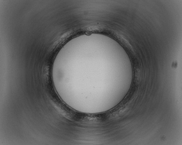 X0000090410260200708031049