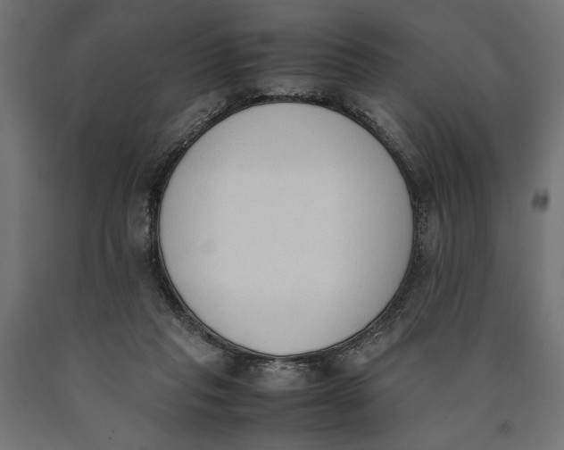 X0000090410261200708031049
