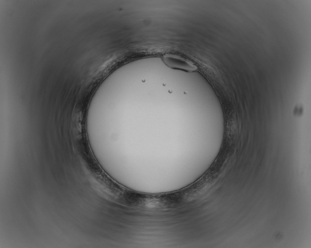 X0000090410264200708031049