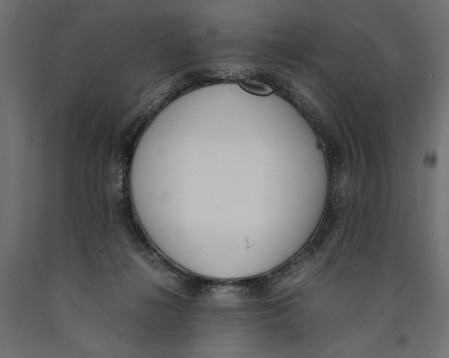 X0000090410268200708031049