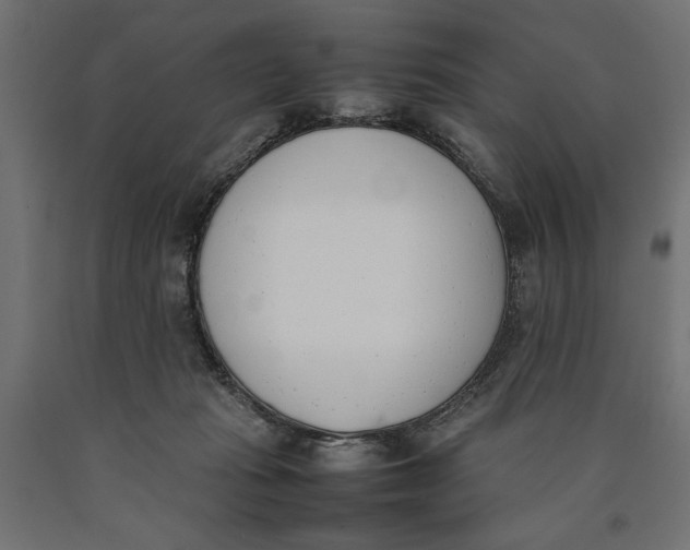 X0000090410269200708031049