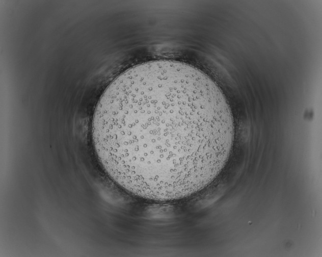 X0000090410271200708031049