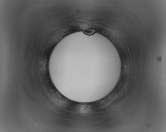 X0000090410275200708031049