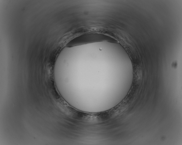 X0000090410276200708031049