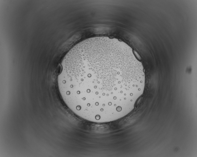 X0000090410277200708031049