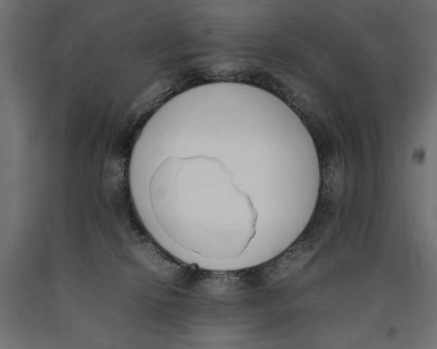 X0000090410278200708031049