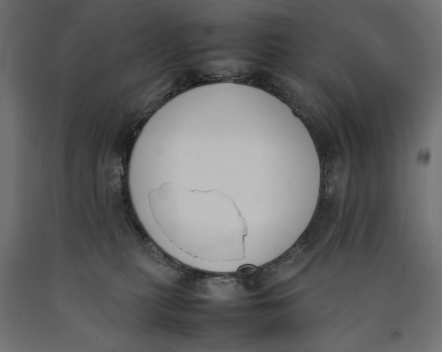 X0000090410279200708031049