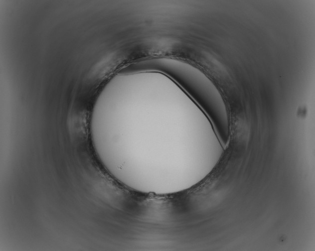 X0000090410280200708031049