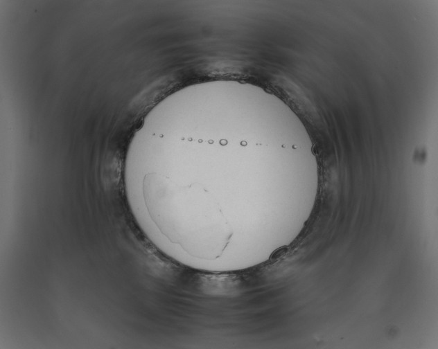 X0000090410281200708031049