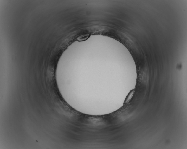 X0000090410283200708031049