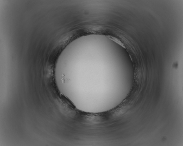 X0000090410284200708031049