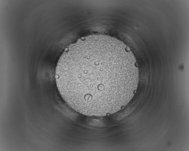 X0000090410285200708031049