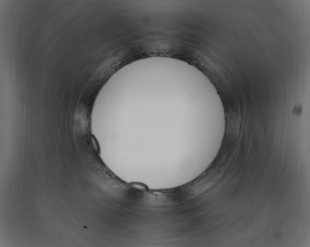 X0000090410287200708031049