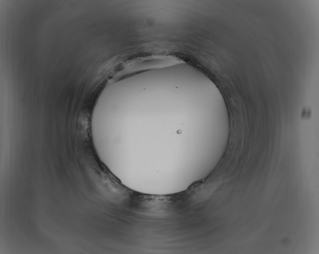 X0000090410288200708031049