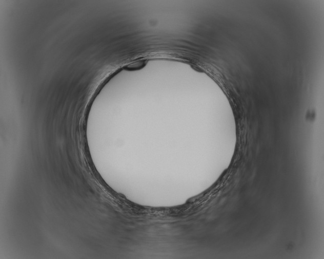 X0000090410289200708031049