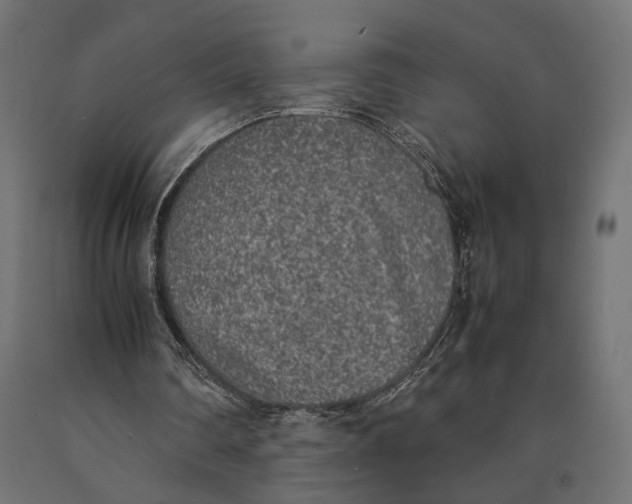 X0000090410290200708031049