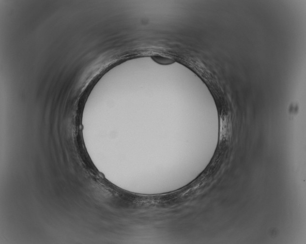 X0000090410291200708031049