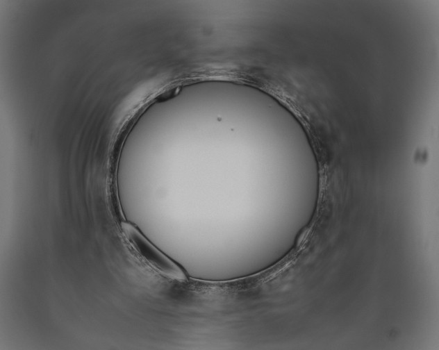 X0000090410293200708031049