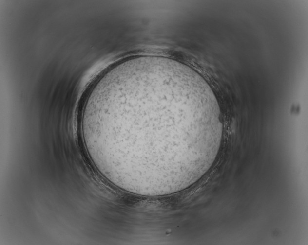 X0000090410294200708031049