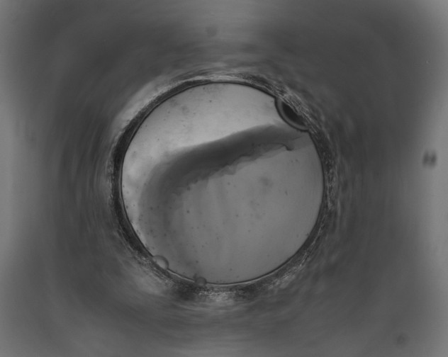 X0000090410295200708031049