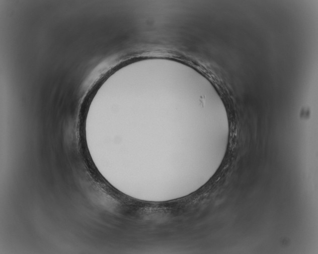 X0000090410296200708031049
